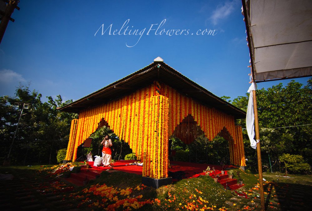 Sunshine Marigold Theme Wedding