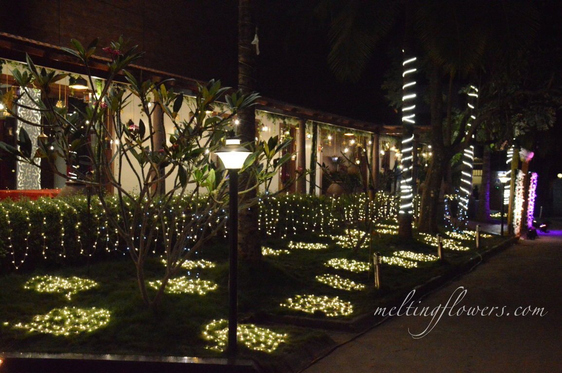 royal-orchid-garden-decor-4b